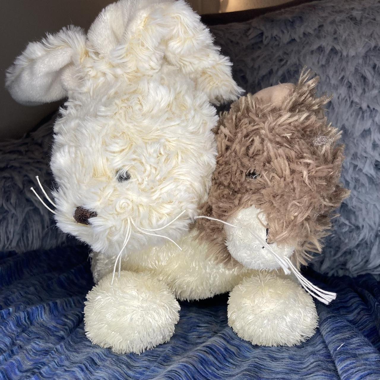 Chocolate and Vanilla