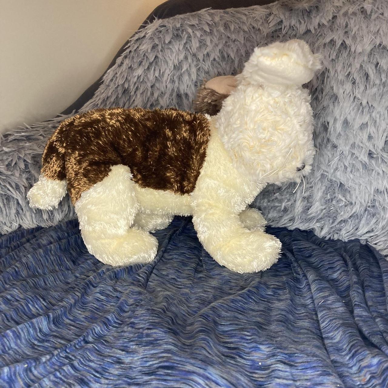 Chocolate and Vanilla